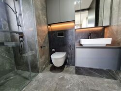 Irwell Hill Residences (D9), Apartment #477515861